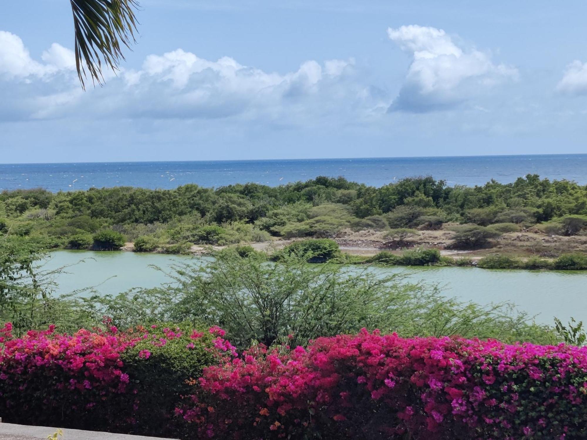 Royal Palm Resort Curacao Geweldig Zeezicht Willemstad Exterior foto